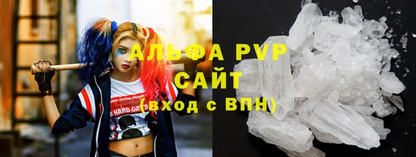прущий лед Абаза